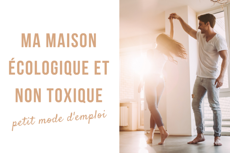 maison écologique et non toxique mode d'emploi